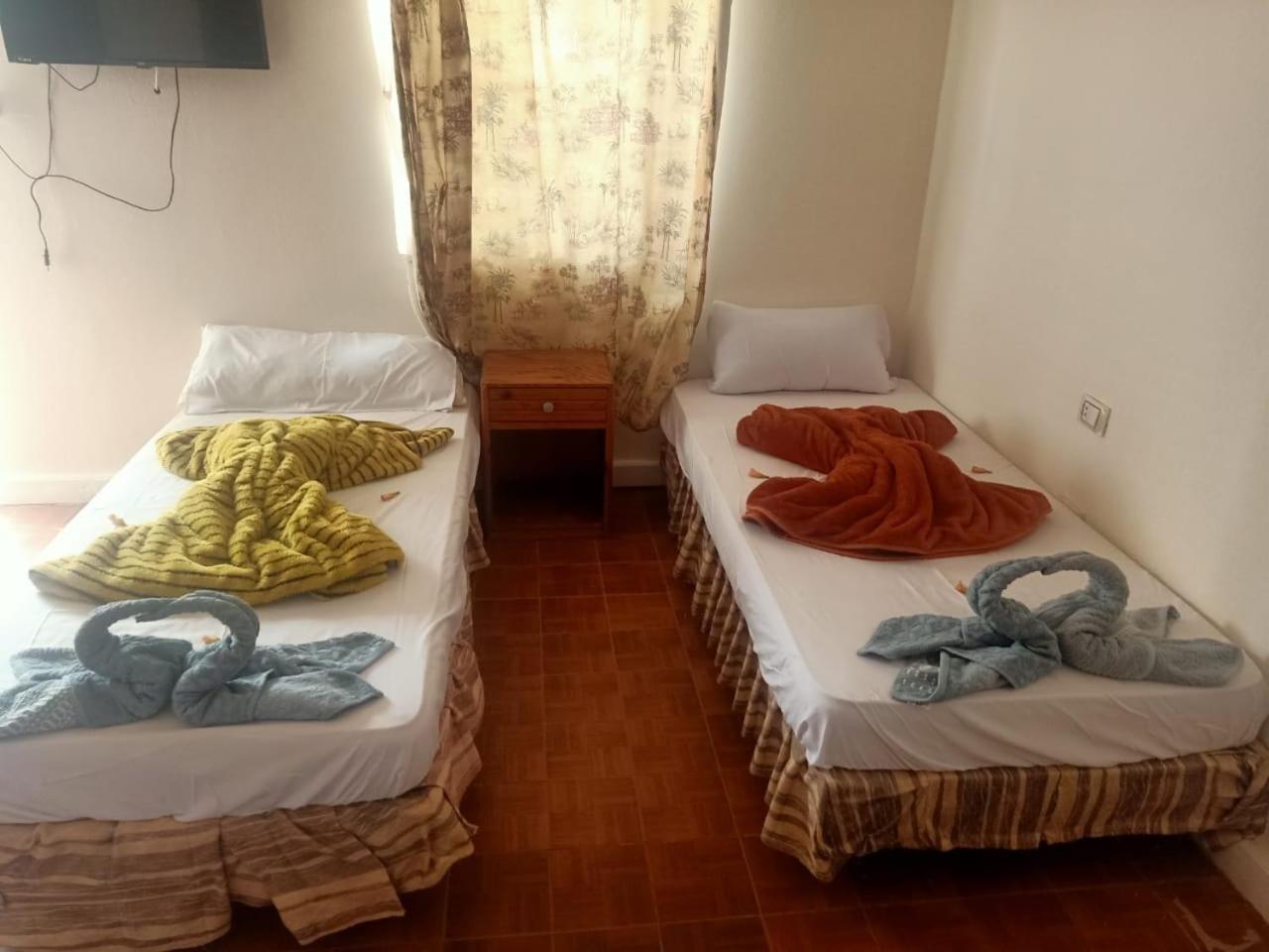 Nuweiba Oasis Hotel Стая снимка