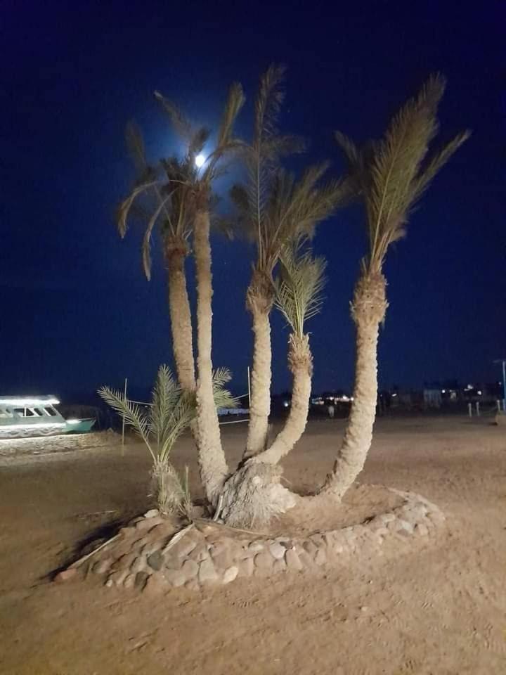 Nuweiba Oasis Hotel Екстериор снимка