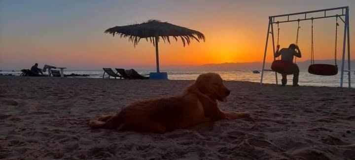 Nuweiba Oasis Hotel Екстериор снимка